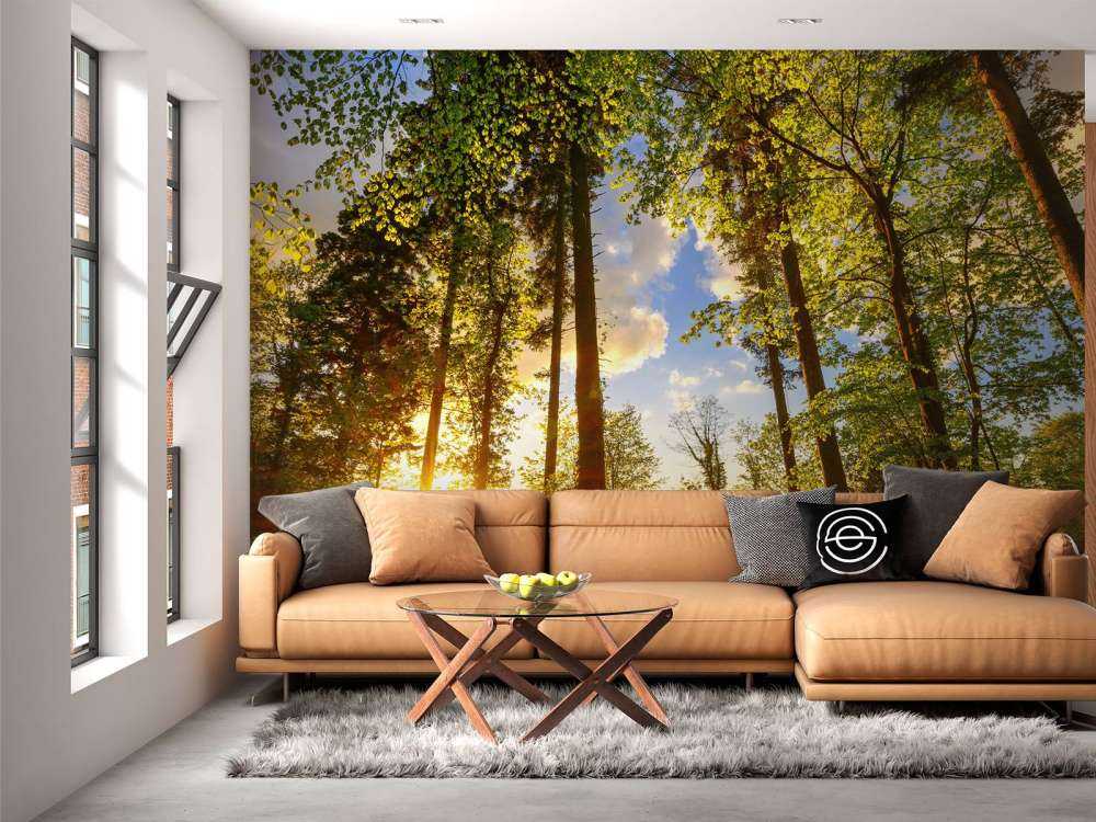 Zonsondergang door de bomen