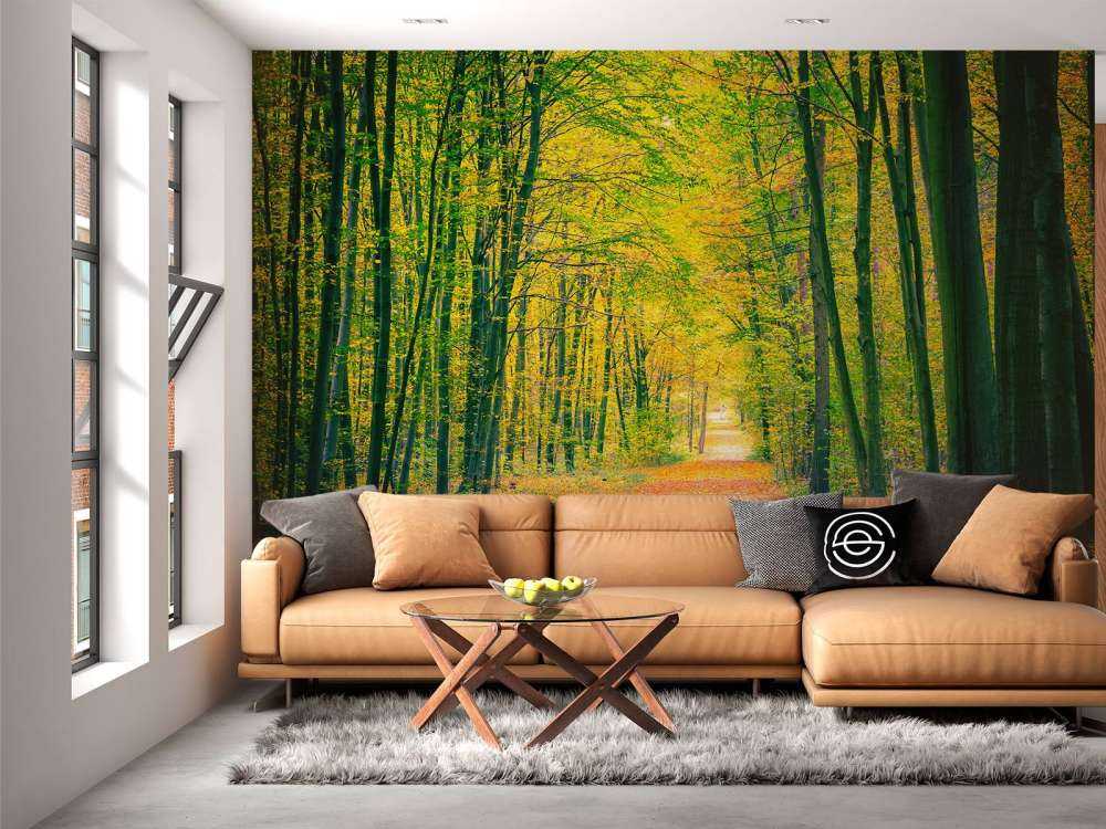 Een bosweg in de herfst