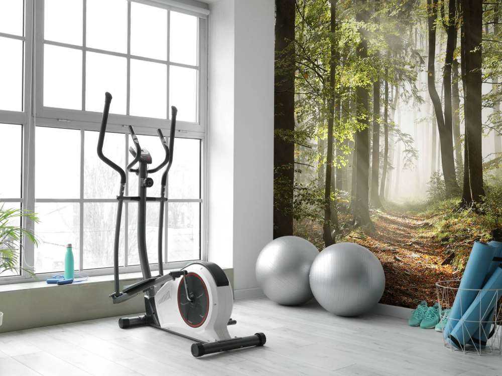 Mistig bos in de herfst