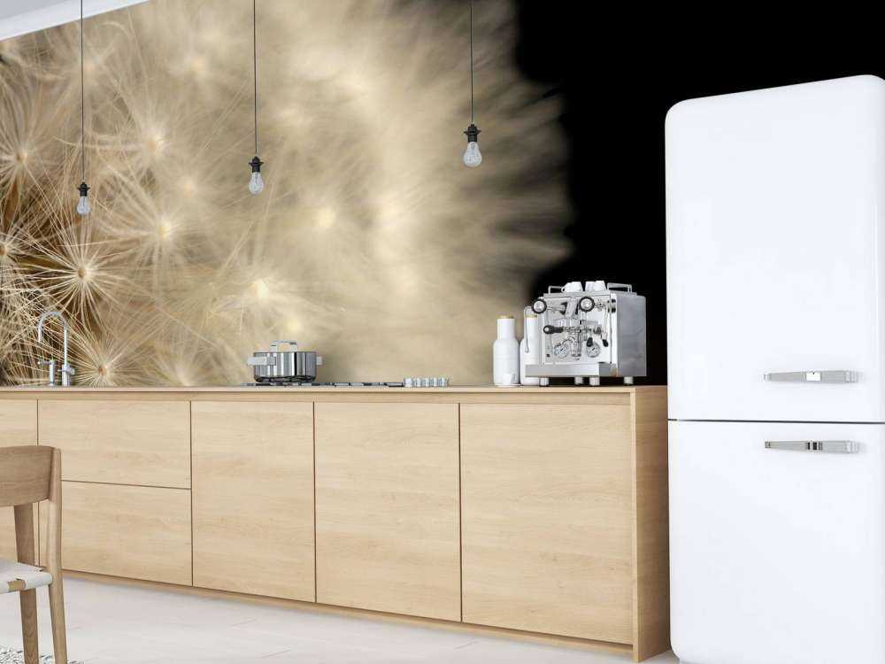 Paardenbloem met zwarte achtergrond