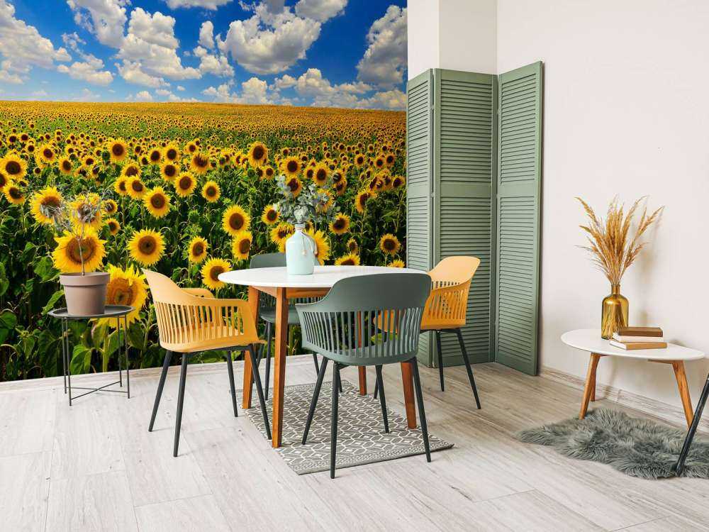 Zonnebloemveld onder een heldere lucht