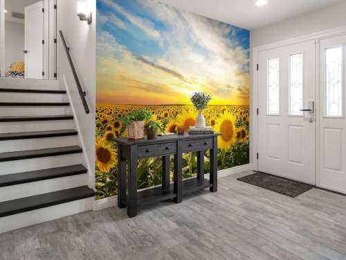 Zonnebloemen bij zonsopkomst