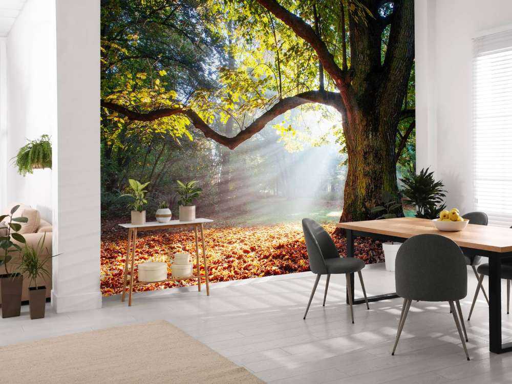 Mooie Eik in het Bos