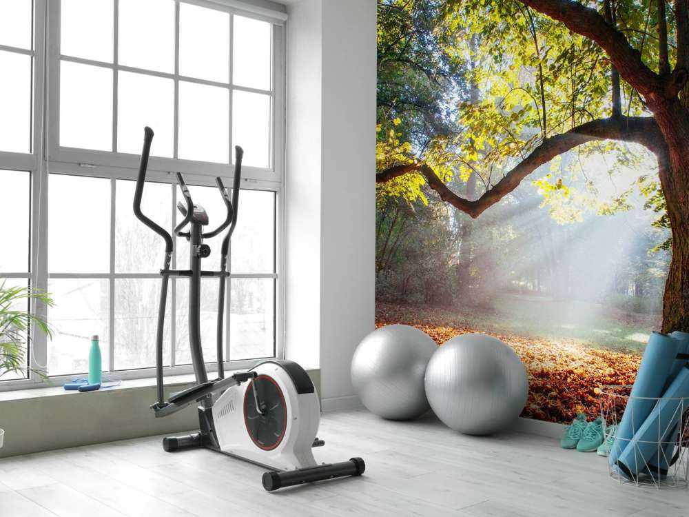 Mooie Eik in het Bos