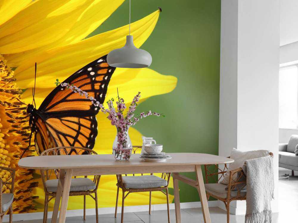 Oranje Vlinder op Zonnebloem