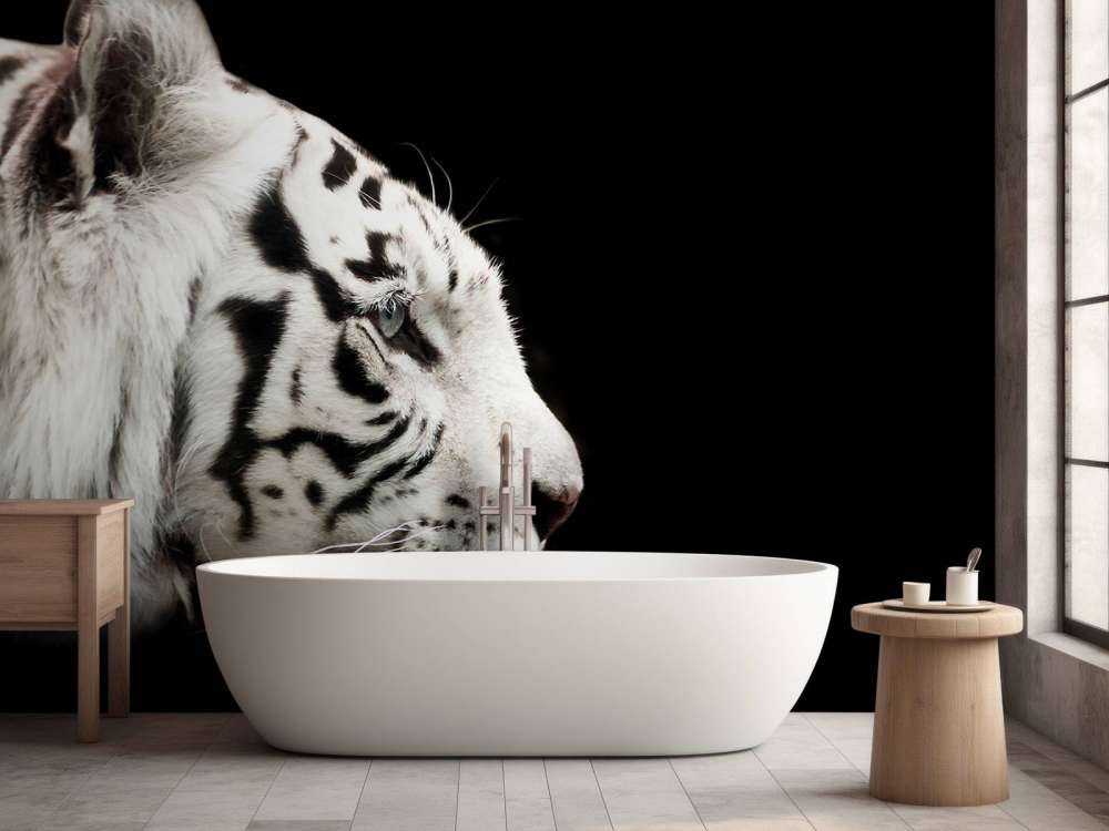 Witte tijger op zwarte achtergrond