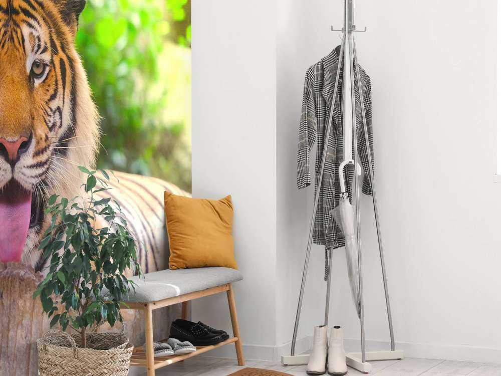 Siberische Tijger steekt tong uit