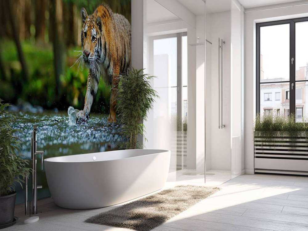 Tijger op een rivier