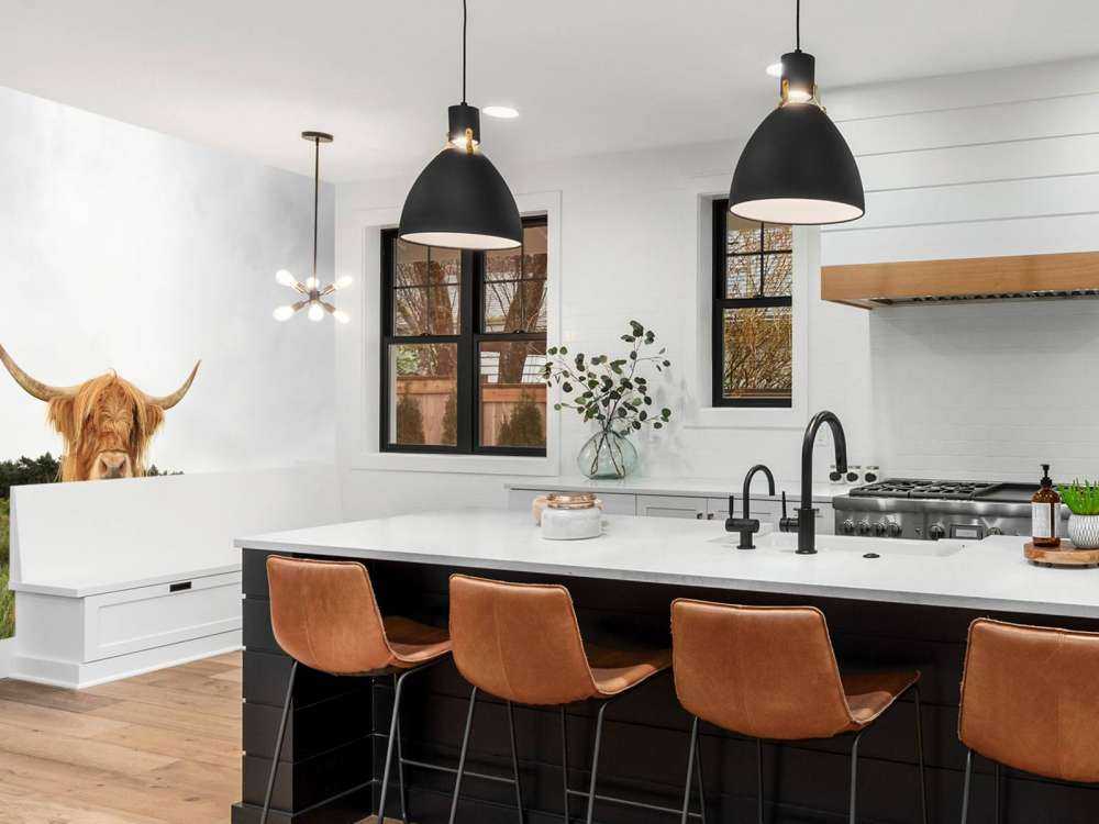 Schotse Hooglanders op het gras