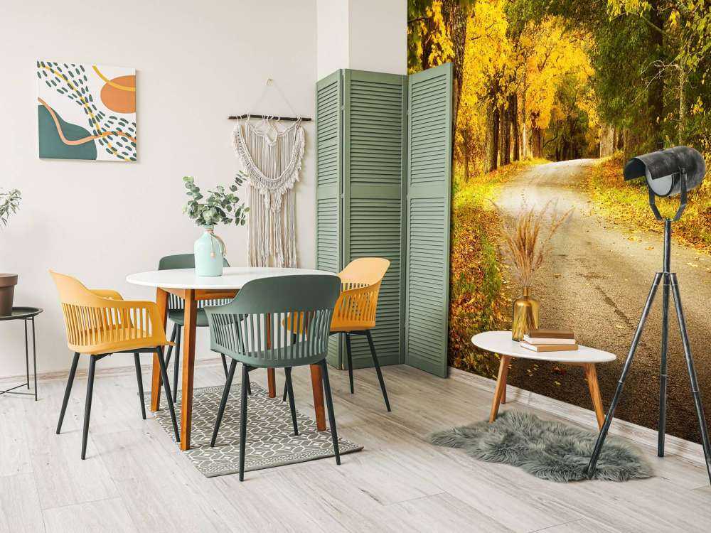 Weg met Bomen in de Herfst