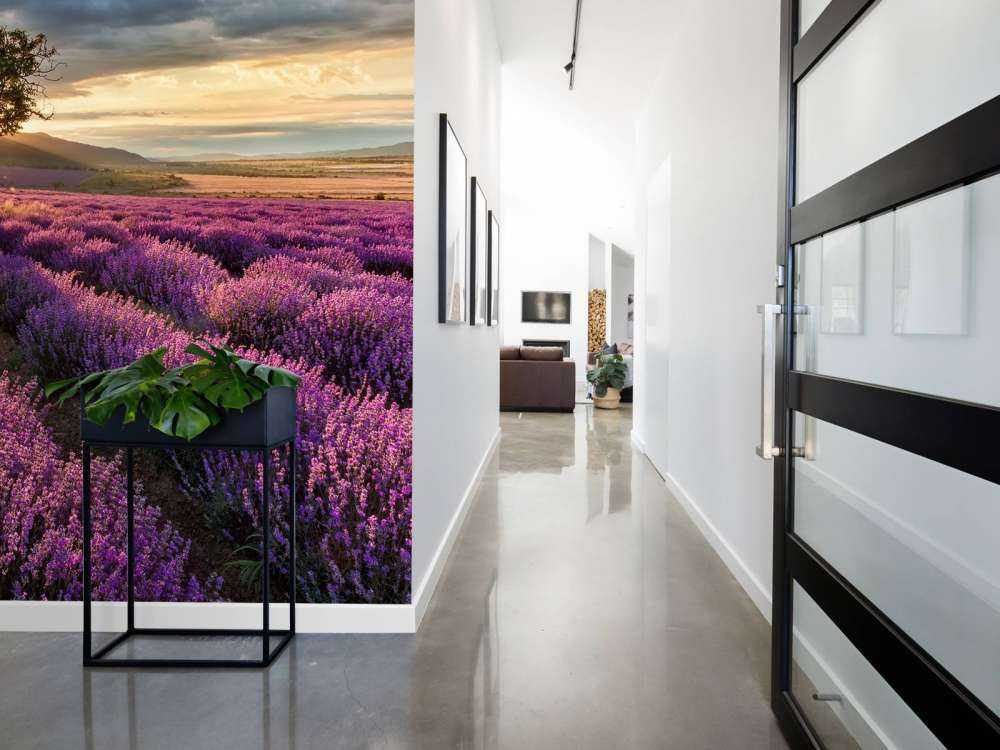 Prachtig landschap met lavendel veld bij zonsopkomst