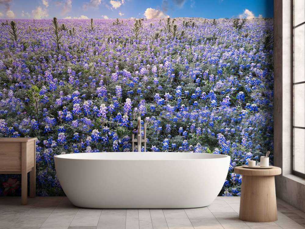 Hortensia veld in Texas