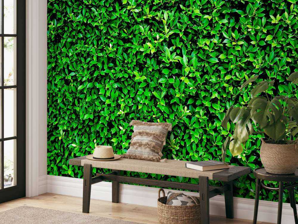 Groene Bladeren Textuur