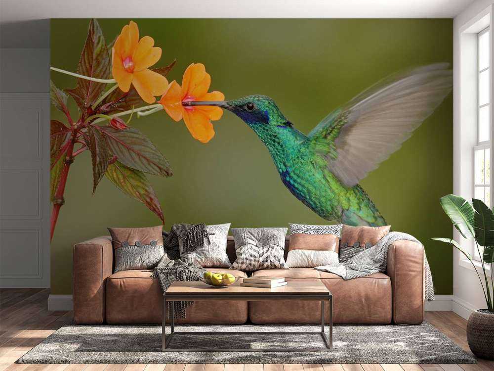 Kleurrijke Kolibrie op Bloem