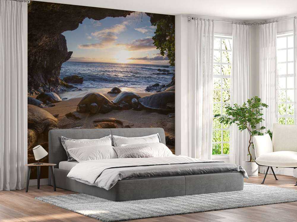 Schildpadden in een grot