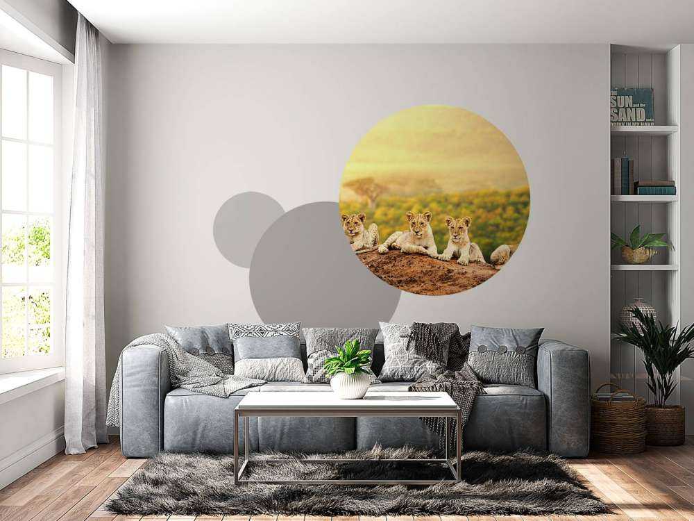 Leeuwenwelpen wachten op hun moeder