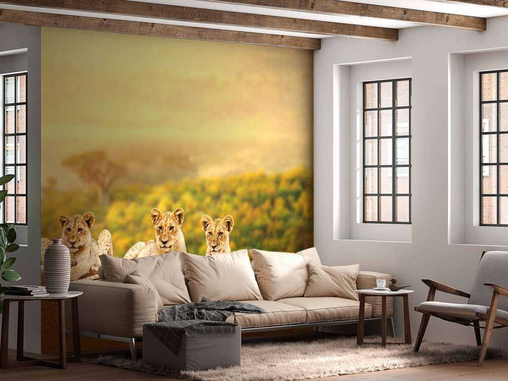 Leeuwenwelpen wachten op hun moeder