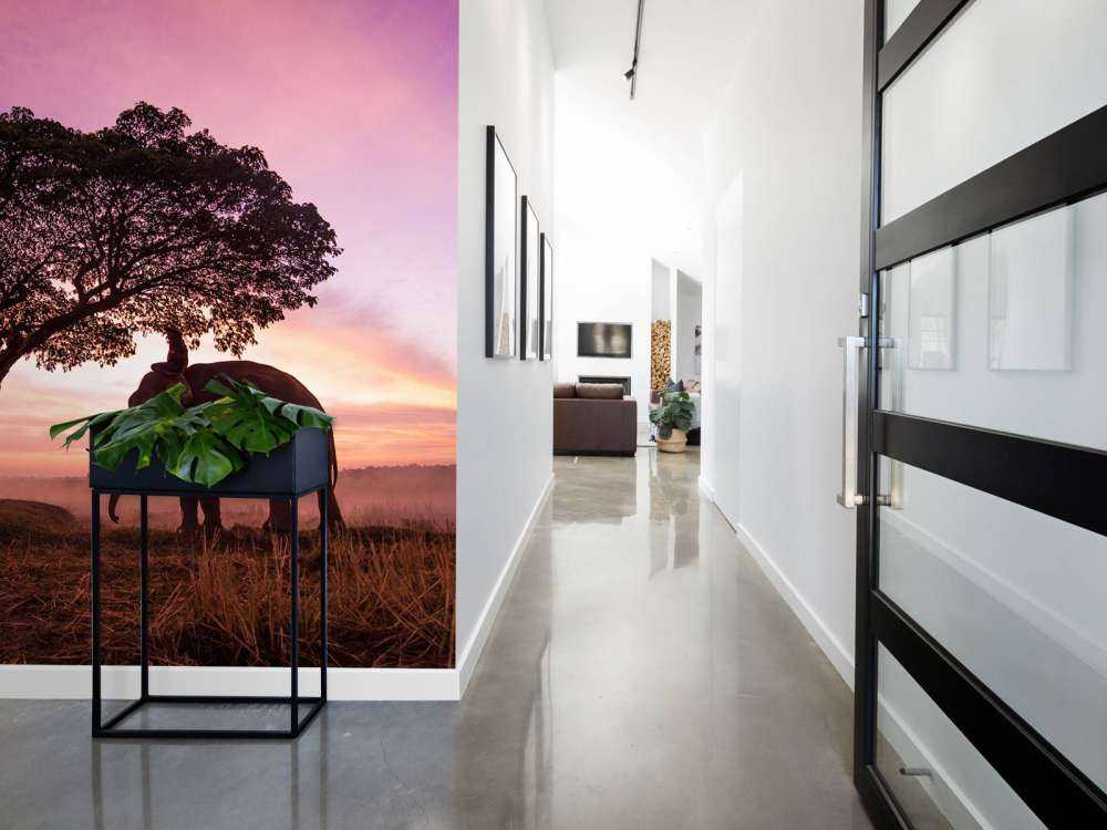 Olifant bij een unieke zonsondergang