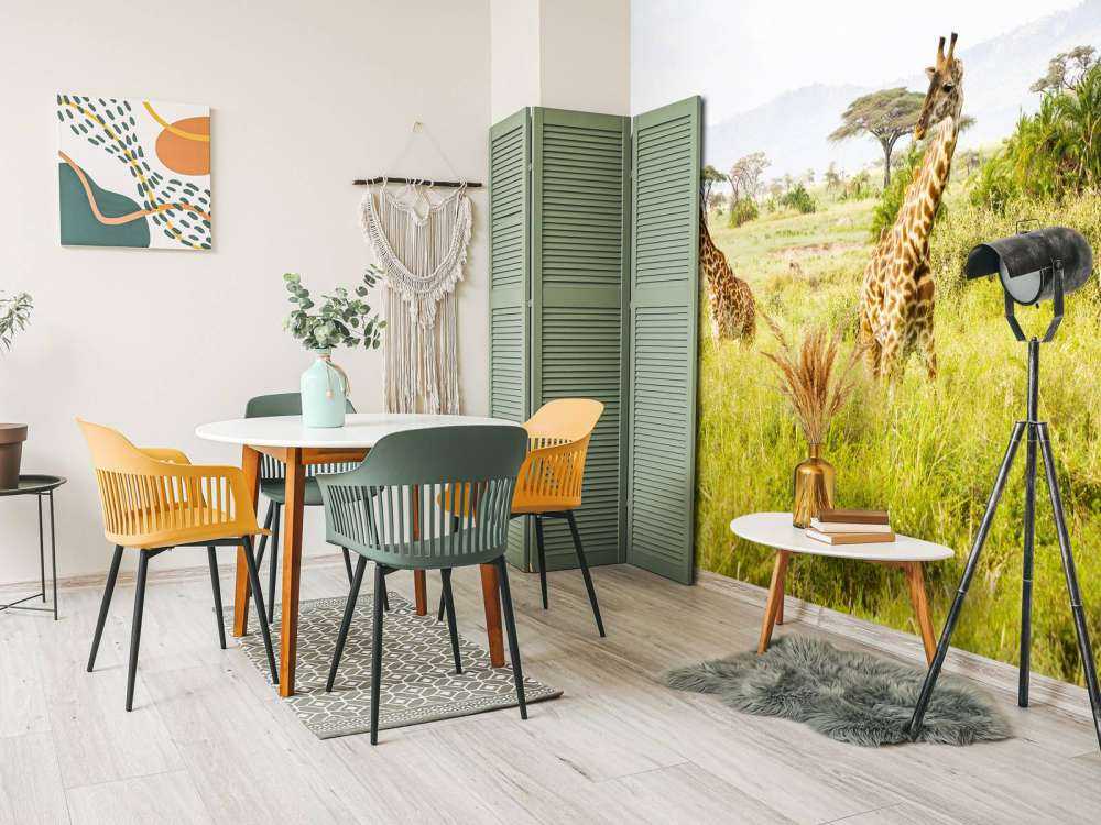 Giraffen in Tanzania