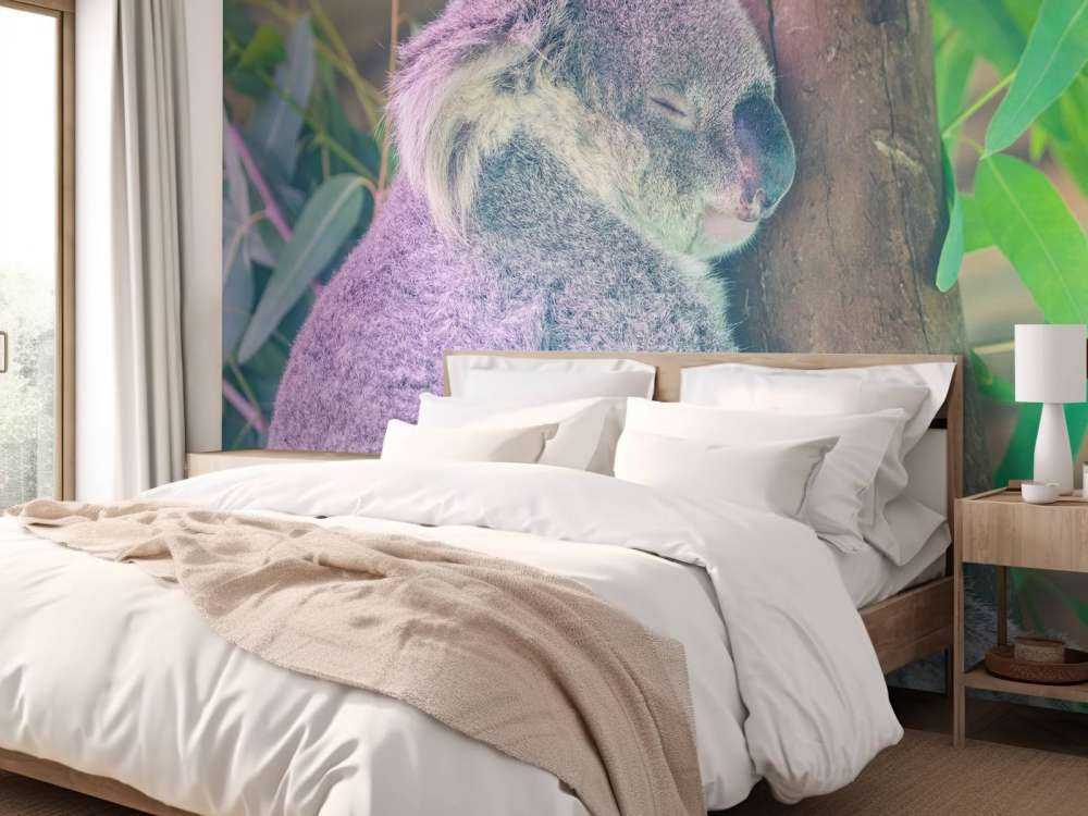 Koala aan het slapen