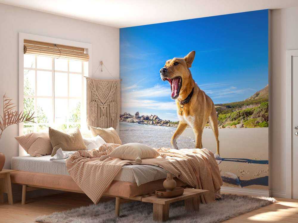 Hond in de zomer op het strand