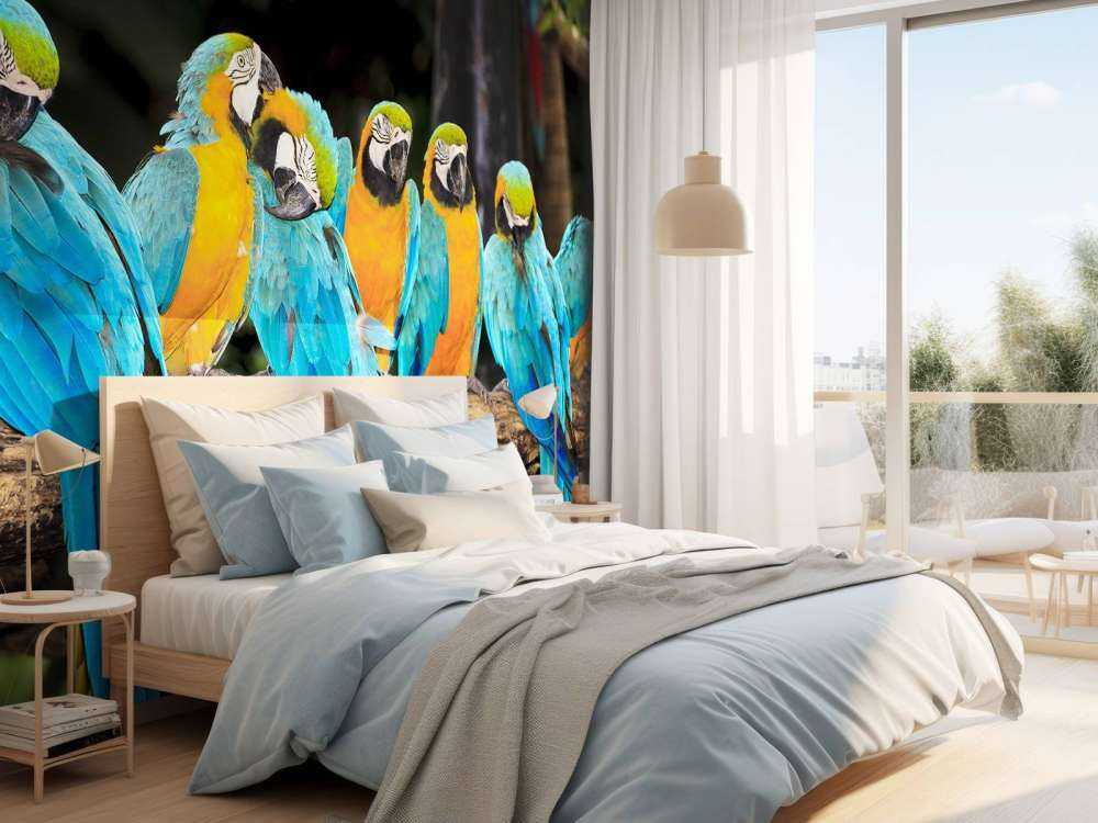 Papegaaien op een tak