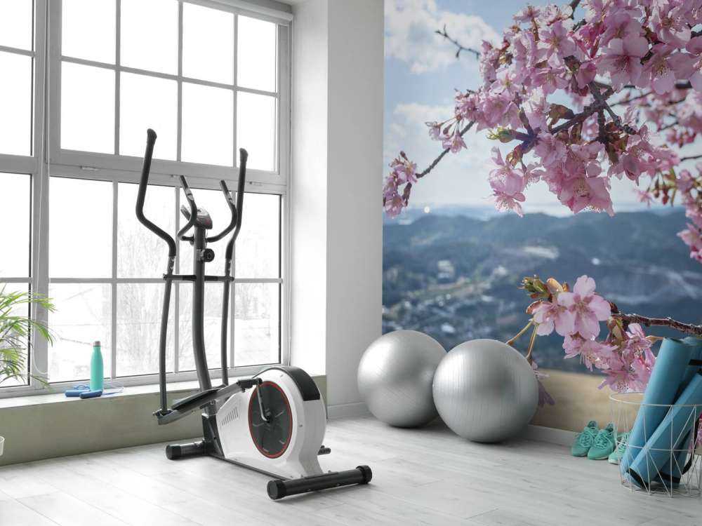 Japanse bloesems met bergen