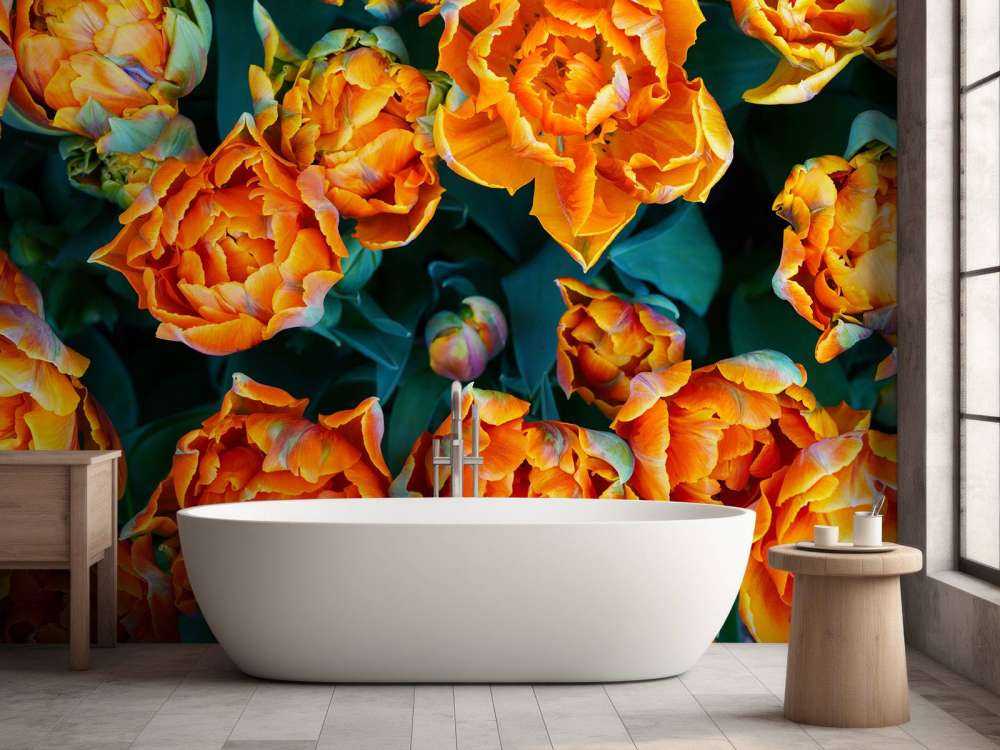 Close-up oranje tulpen