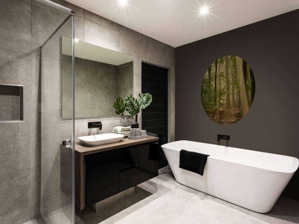 Oud bos met zonneharpen