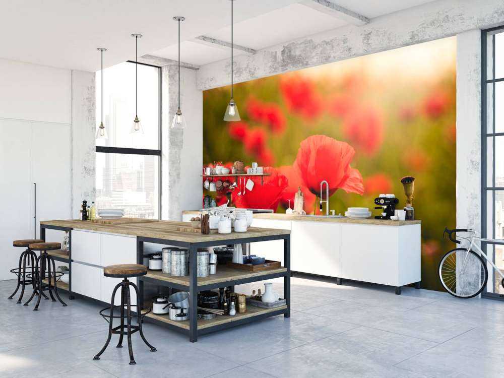 Klaprozen bij zonsopkomst