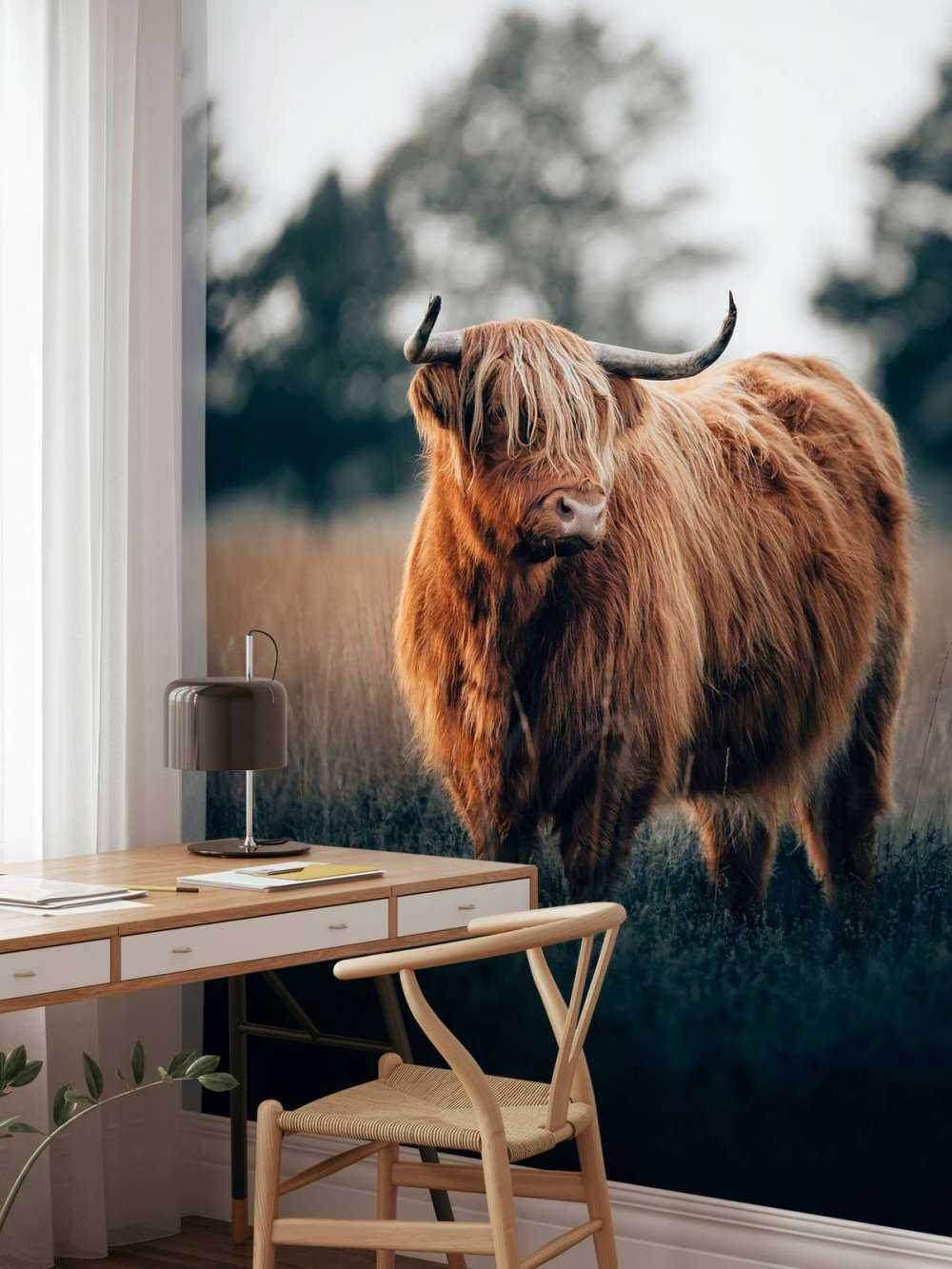 Portret van hoogland