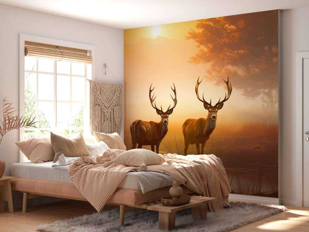 Ochtendglorie Hertenpracht