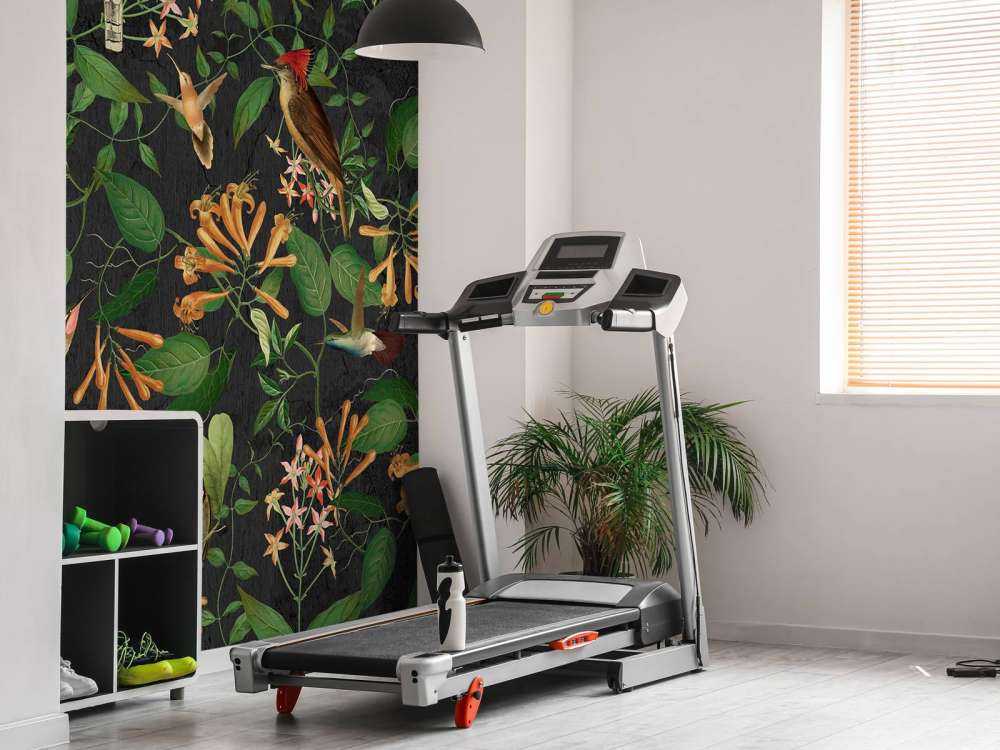 Midnight Garden Melody