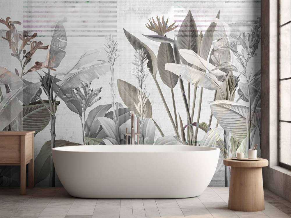 Dreams and Tropics 6