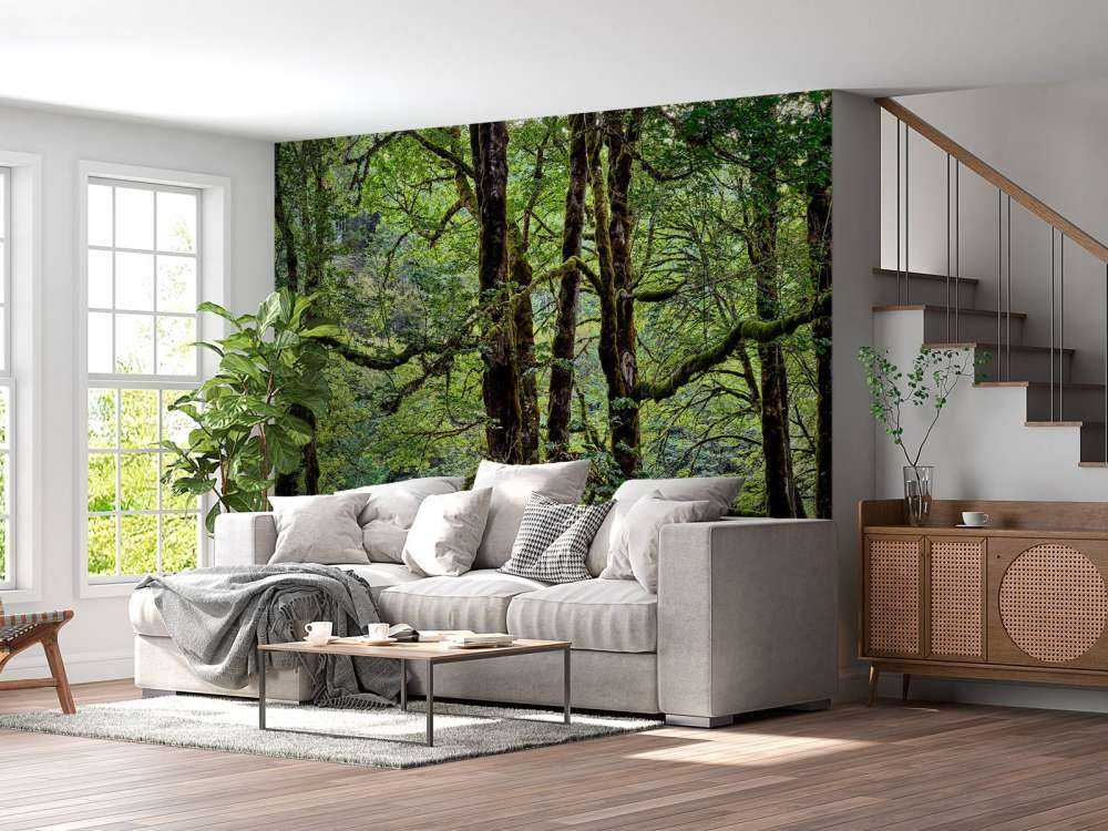 Bomen met mos