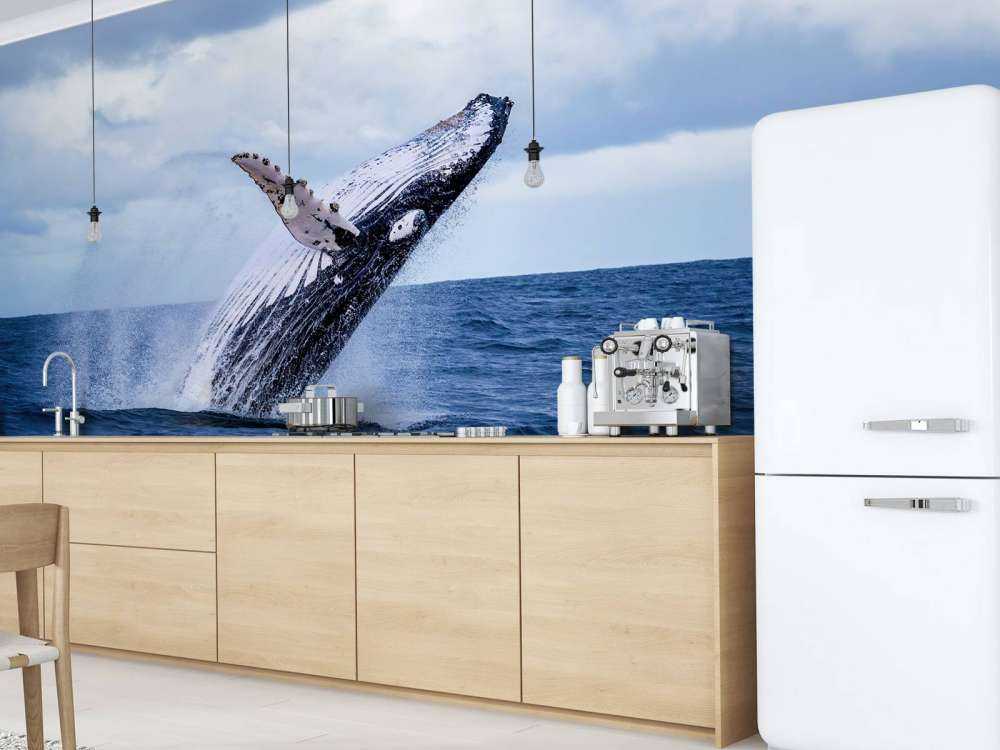 Springende walvis