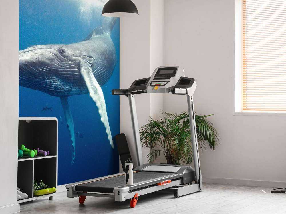 Bultrug walvis