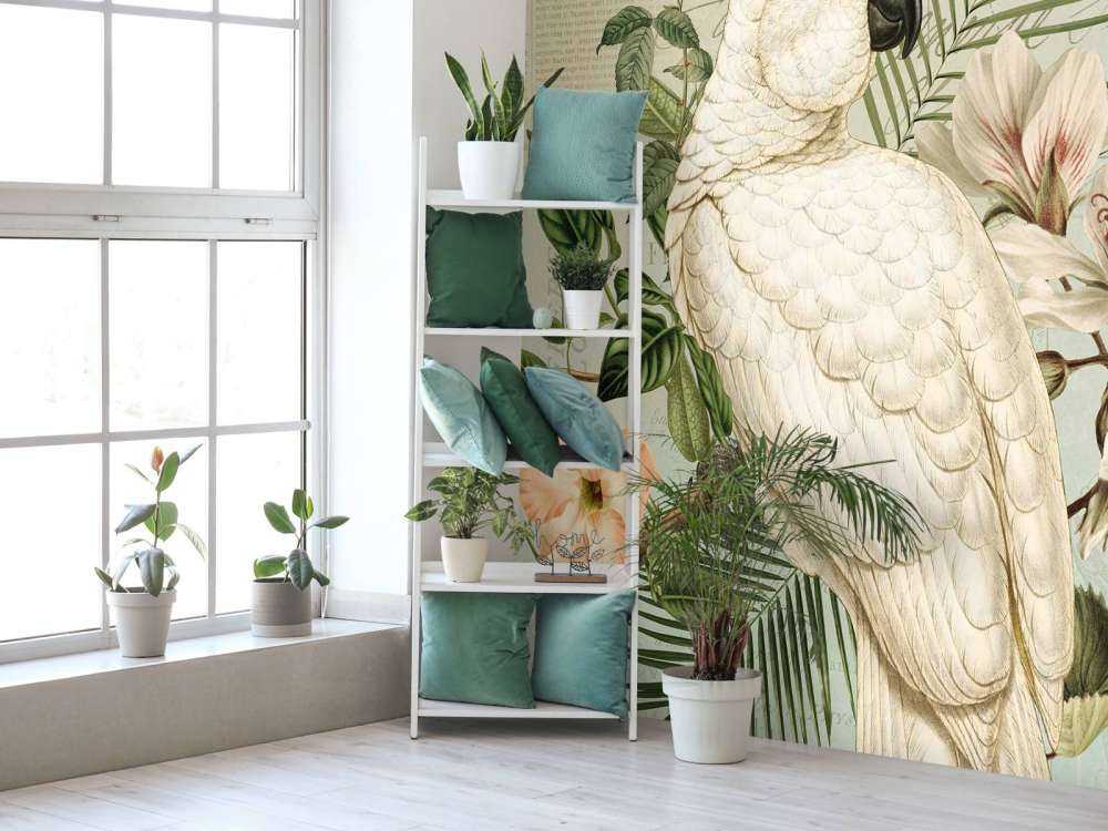 Cockatoo vintage nostalgia
