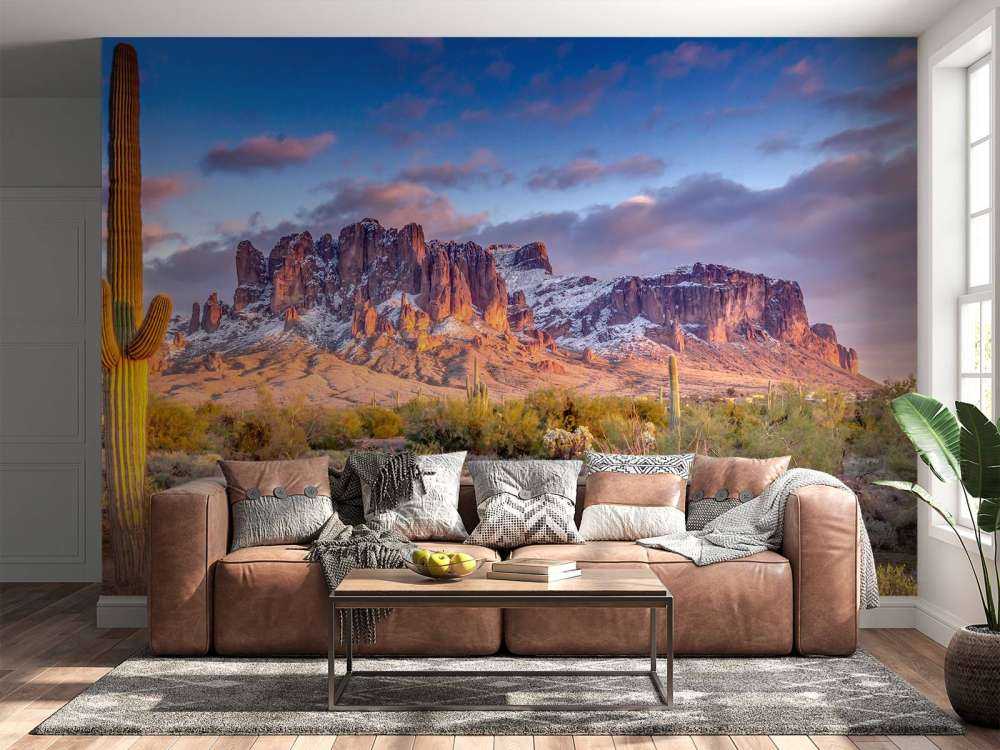 Cactus in een berglandschap