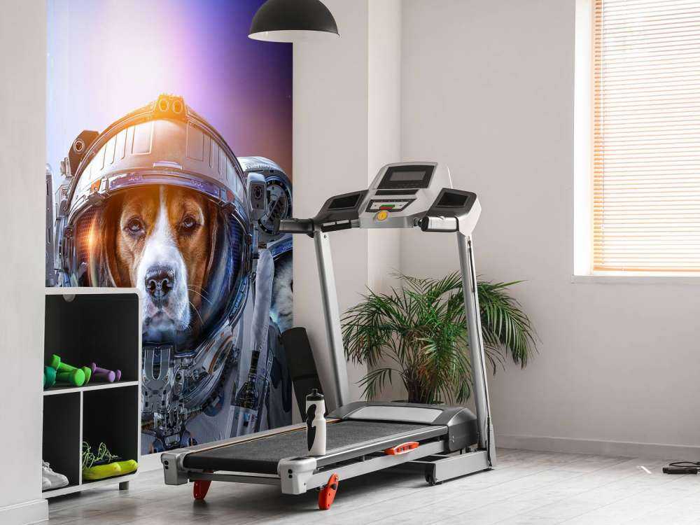 Dierlijke astronauten