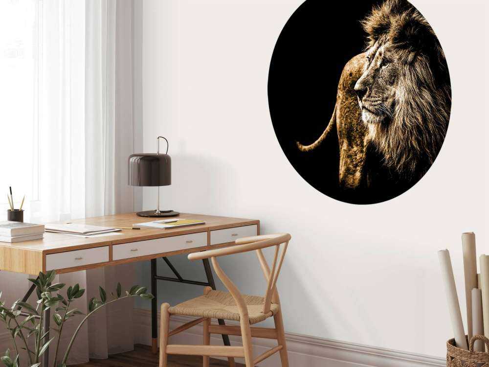 Harige leeuw met een zwarte achtergrond