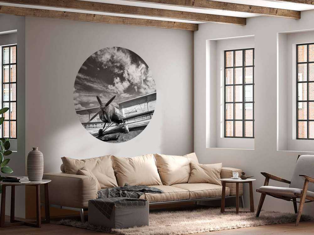 Vintage vliegtuig onder een bewolkte hemel