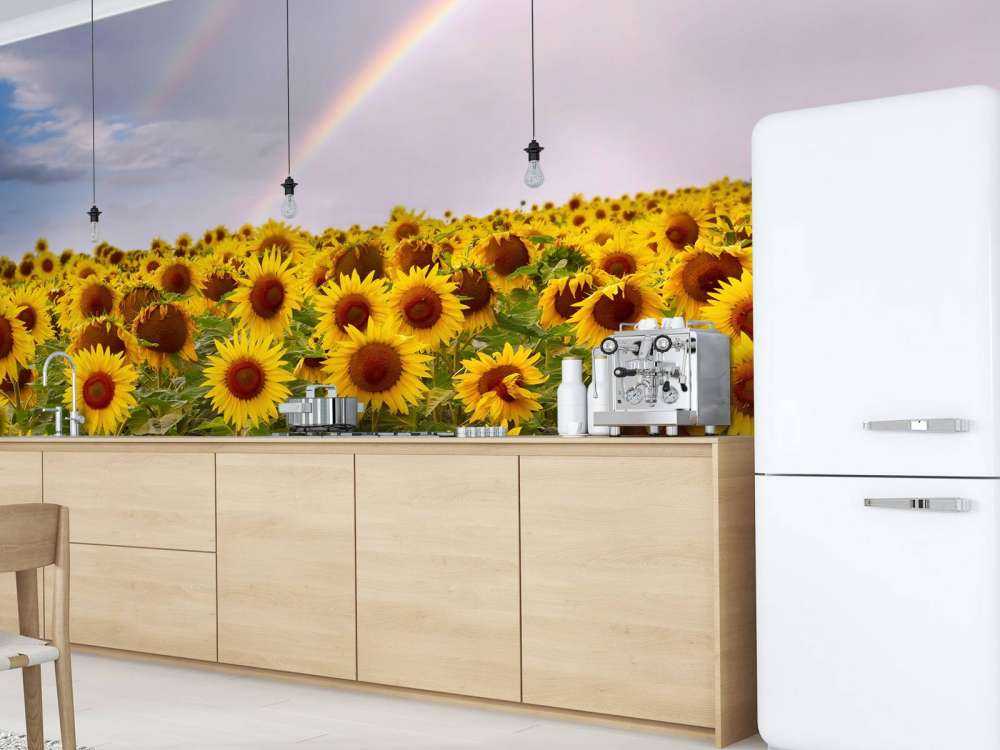 Regenboog bij zonnebloemen