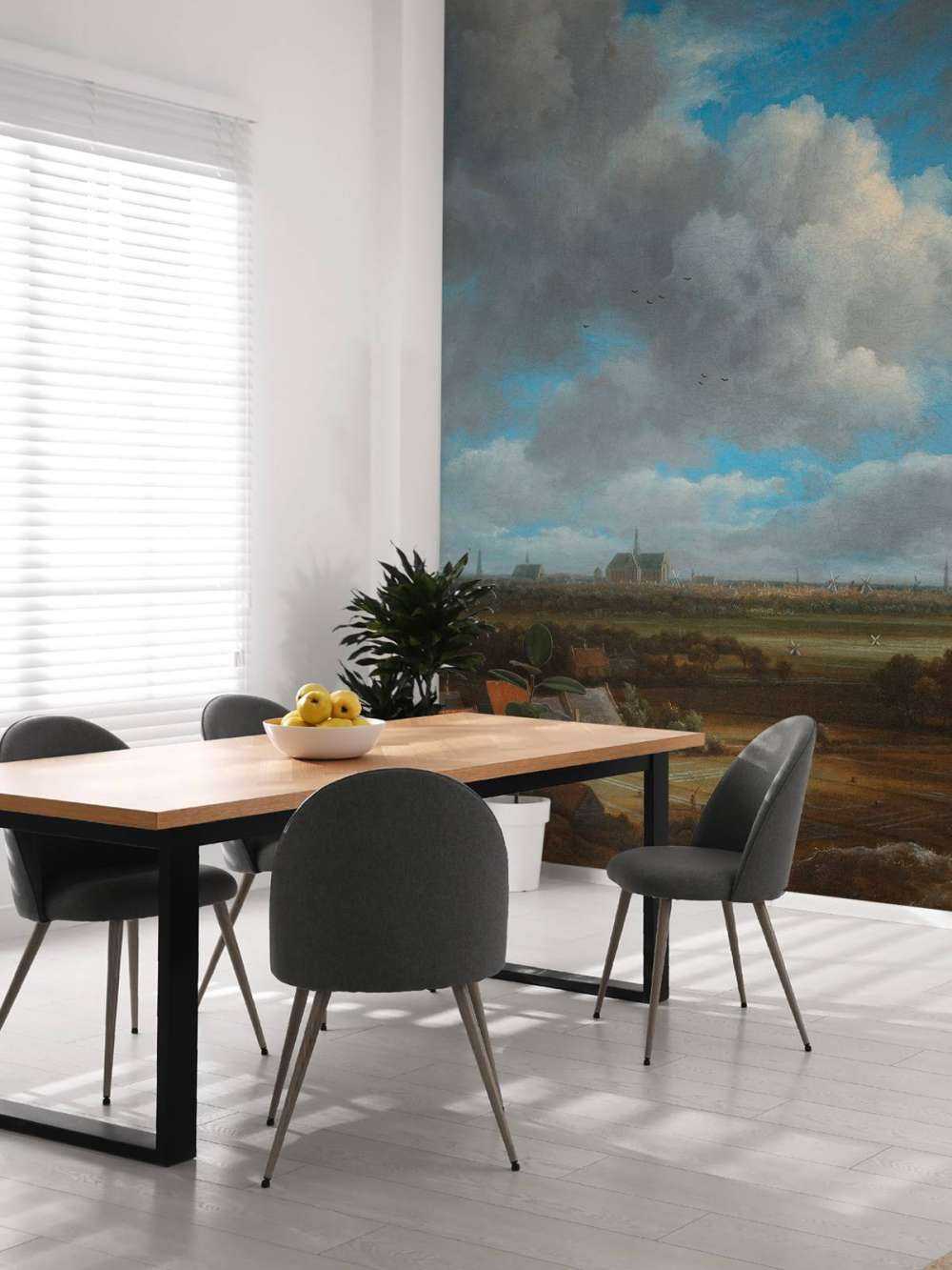 Gezicht op Haarlem uit het noordwesten