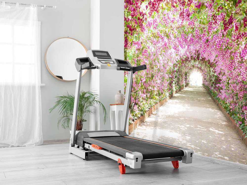 Botanische tuin met orchideeën