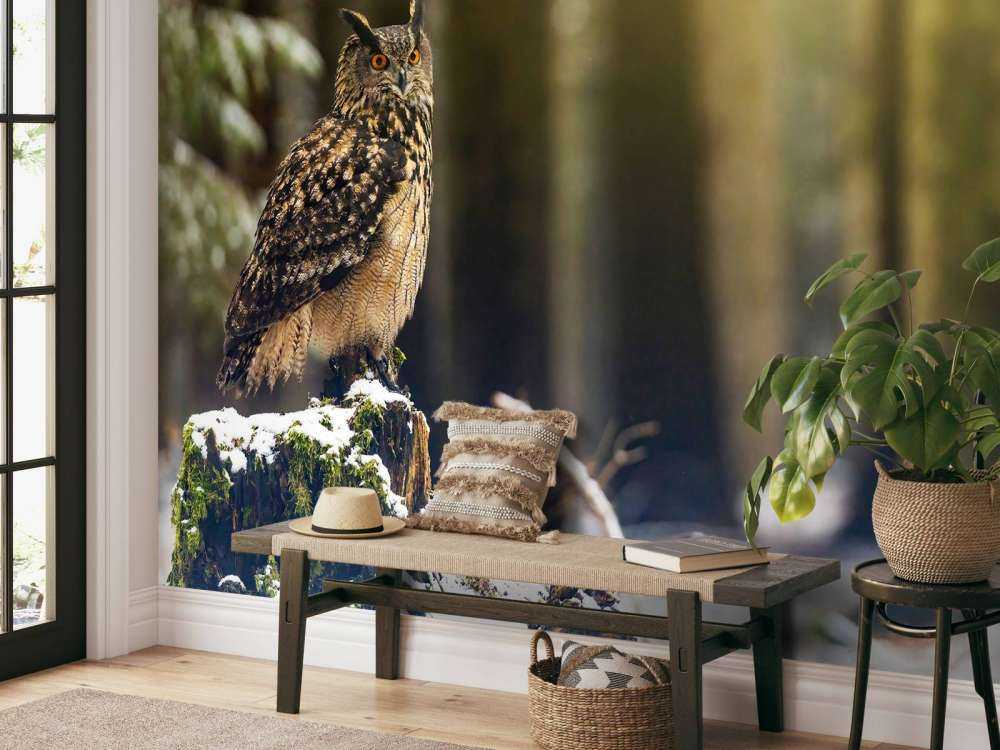 Uil in een sneeuwig bos