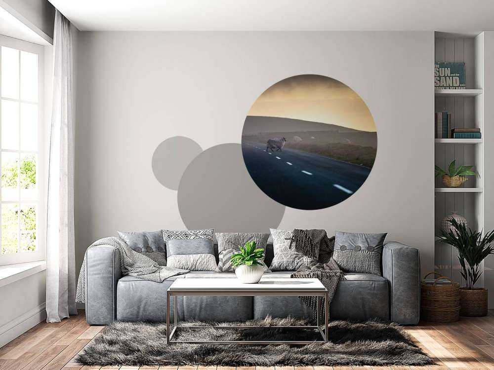 Overstekende schapen