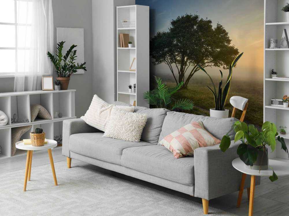 Zonsopkomst op de heide