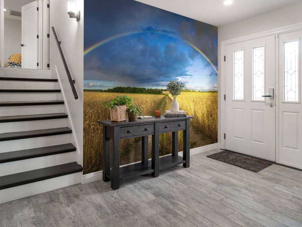 Regenboog over een graanveld