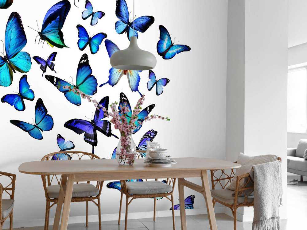 Blauw-paarse vlinders met een witte achtergrond